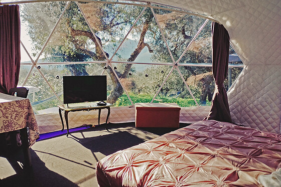 Glamping Domes San Martino - photo 4