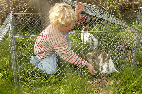 La ferme pédagogique - photo 1