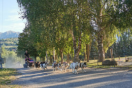 Passion Traîneau
