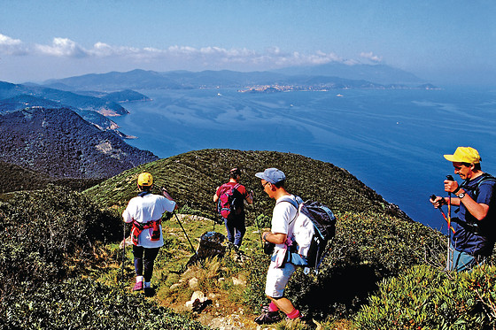 Il Viottolo - photo 6