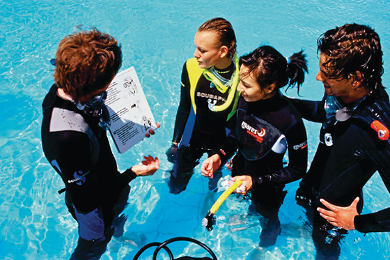 Diving In Elba - photo 0