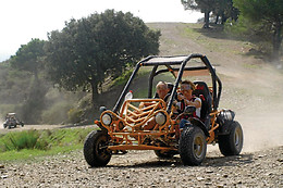 Buggy Tours