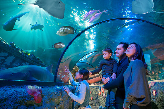 Gardaland Soggiorno - 2 giorni / 1 notte / 2 persone