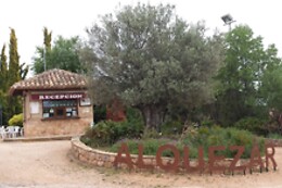 CAMPING ALQUEZAR