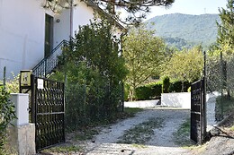 The Lover House