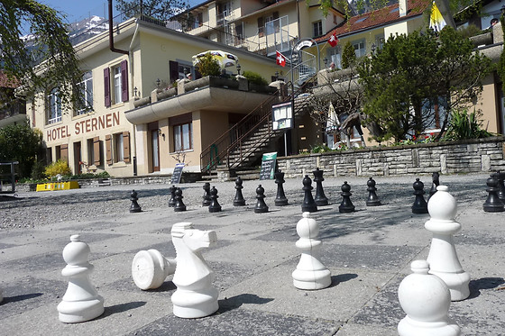 Seehotel Sternen Brienz - photo 3