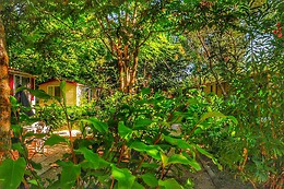 International Glamping lago di Bracciano