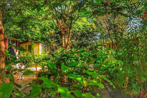 International Glamping lago di Bracciano - photo 3