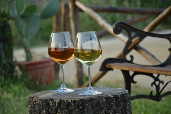 Masseria La Chiusa - photo 7