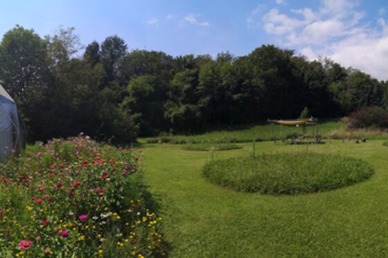 Soggiorno insolito di una notte presso Glamping That's Life in provincia di Belluno