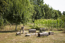 Le relais du chat prosper