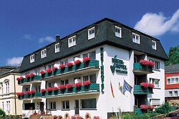 Rheinhotel Rüdesheim***