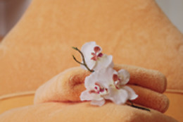 PRIZ Beauty