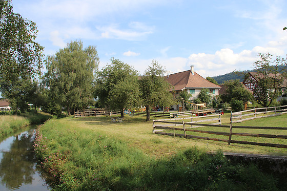 Eselhof Säge - photo 11