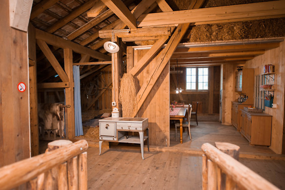 Eselhof Säge - photo 14