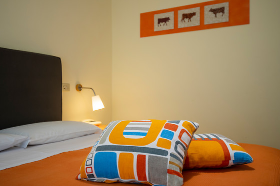 Albergo Villa Gaia - photo 10