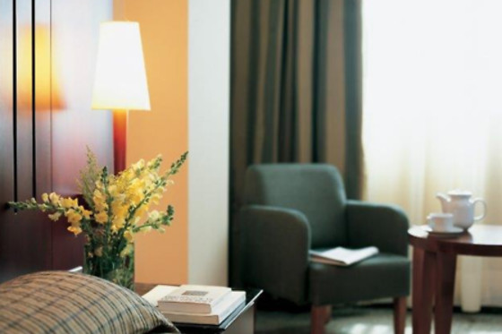 HOTEL AMALTEA - photo 5