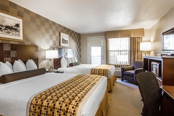 Online Booking EPS - photo 10