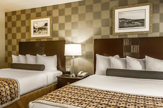 Online Booking EPS - photo 2