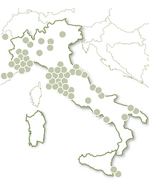 Insolito - Evasione da sogno