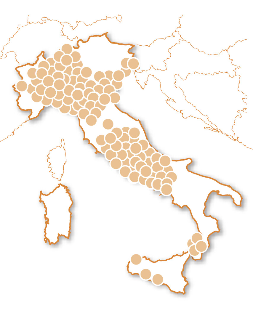 Brividi in pista