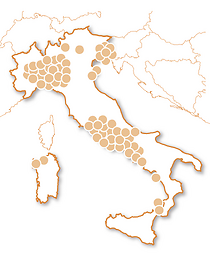 Adrenalina & Motori