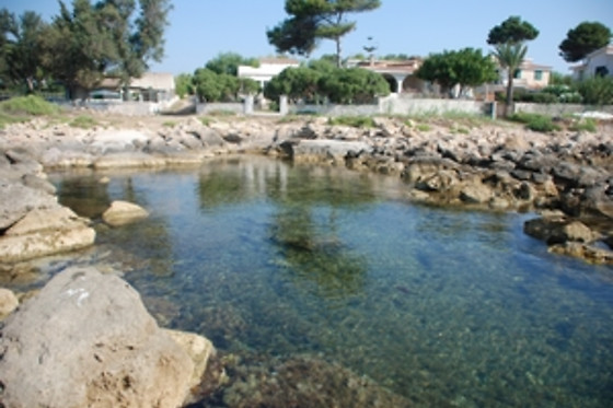 Agriturismo Terrauzza sul Mare - photo 0