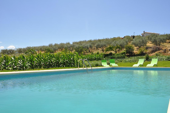 QUINTA ROTA D'OLIVEIRA - photo 0