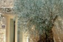 Antica Locanda Mirgio di Matteo Rocchi