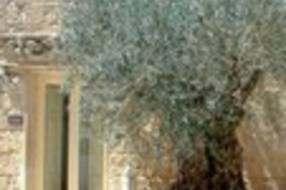 Antica Locanda Mirgio di Matteo Rocchi - photo 0
