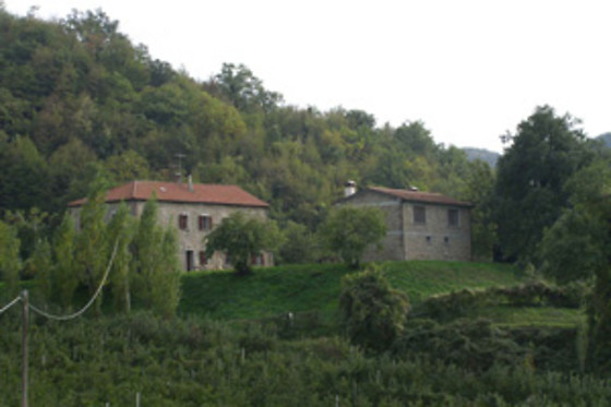 Azienda Agrituristica Badia di Susinana - photo 3