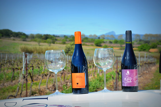 Vigno'Vins - photo 1