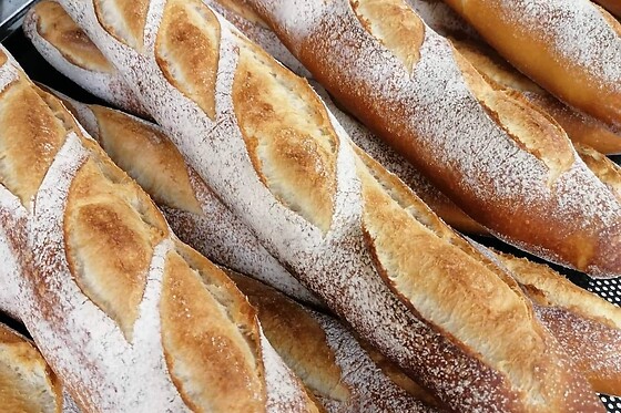 Baguette Zedelgem - photo 0