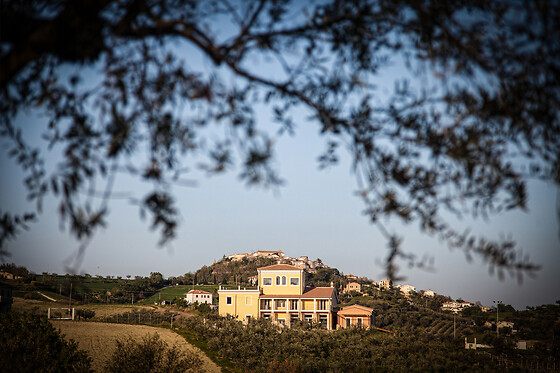 D'alesio Sciarr - photo 4