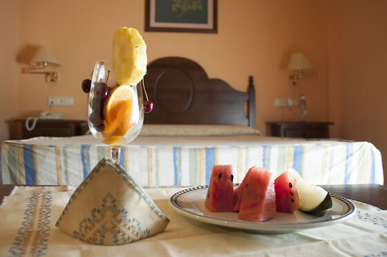 HOTEL ASADOR ALBENZAIRE - photo 4