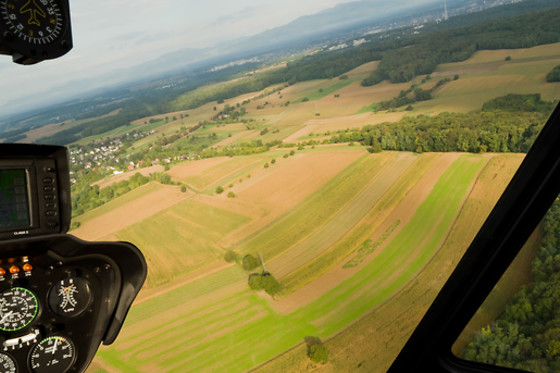 HELI RHIN - photo 2