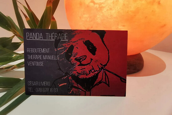 PandaThérapie - photo 2
