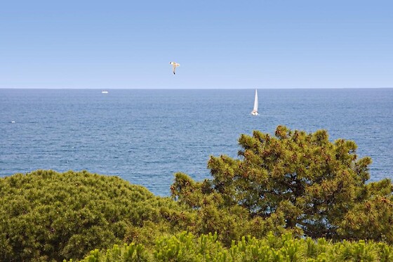 Hôtel Centre plage - photo 3