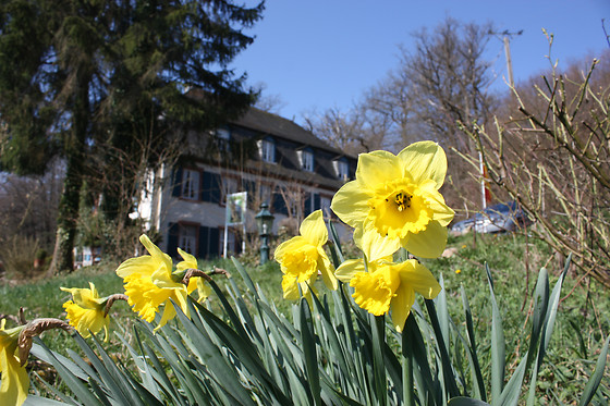 Historische Schlossmühle - photo 8