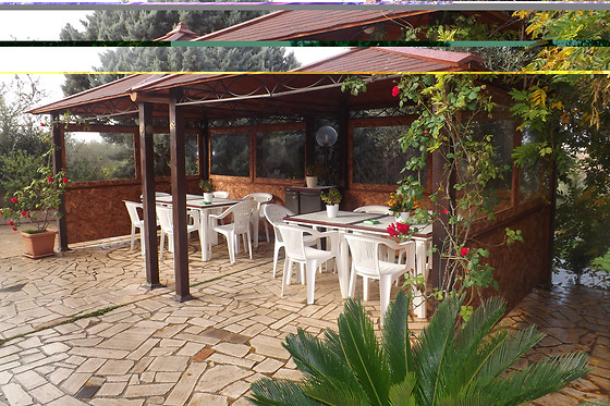 Villa Lena B&B - photo 2
