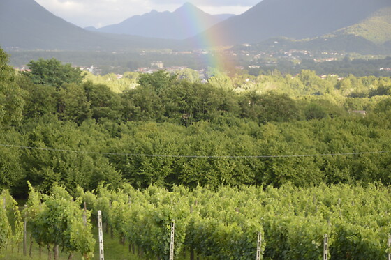Cantina del Barone - photo 1
