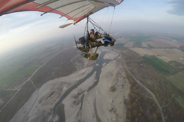Flying Fox