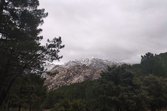 NATURANDA - photo 10