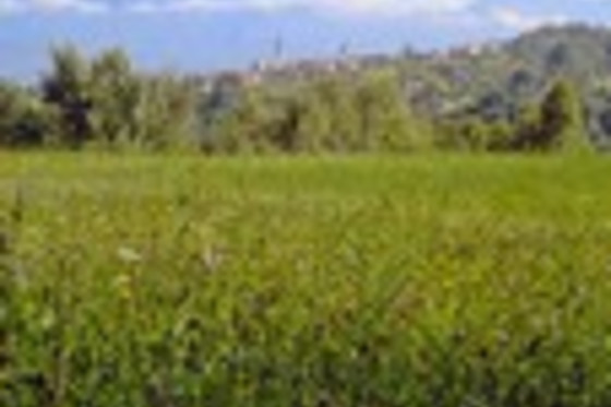 B&B Sebastiano, il Germano e il Sacco - photo 6