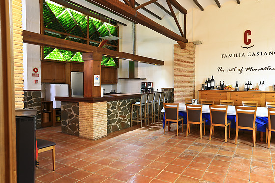HOTEL ALFAGEME - photo 17