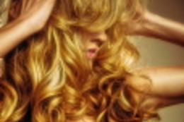 Compagnia della bellezza