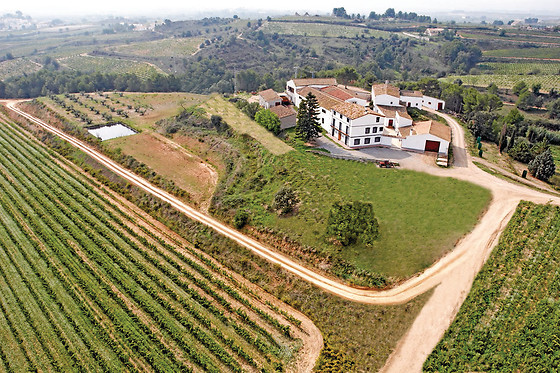 BODEGA MIQUEL JANÉ - photo 1